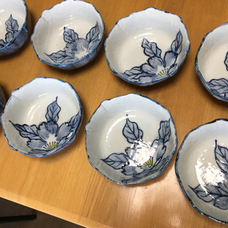 宝仙 中鉢