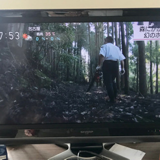 テレビ
