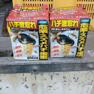 ハチ激取れ　スズメバチ　アシナガバチ