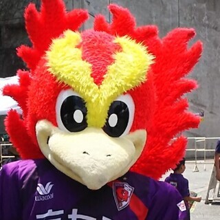 ⭐京都サンガ