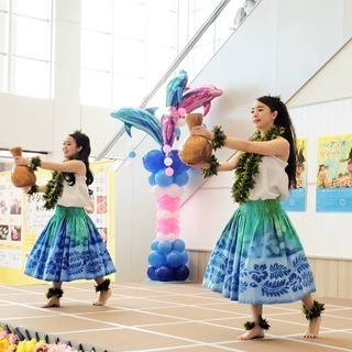 初心者向けレッスン新規開設！フイフラ オルオル カ マナ オの画像