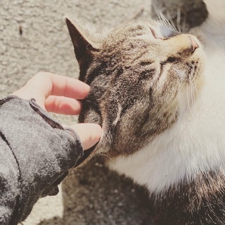 かどちゃん♡家族ができました