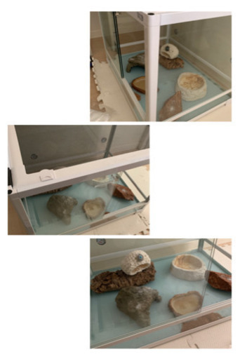爬虫類飼育セット　照明もついてます　ゲージ60cm