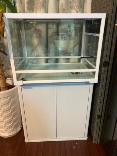 爬虫類ゲージ60x45x45  台セット