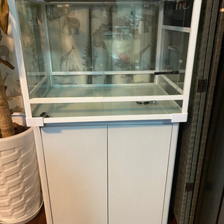 爬虫類ゲージ60x45x45  台セット