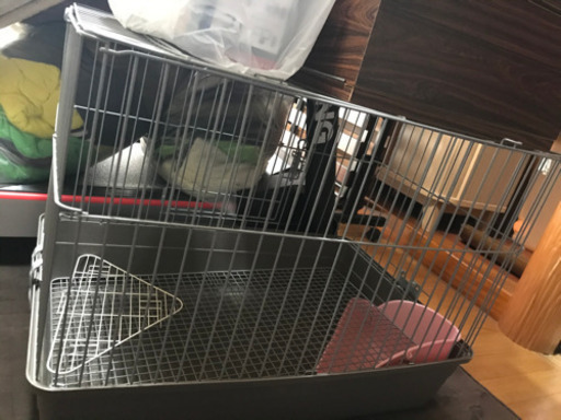 小動物ゲージ