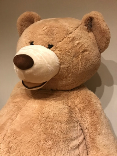 コストコ　新品　特大クマのぬいぐるみ　約237㎝　