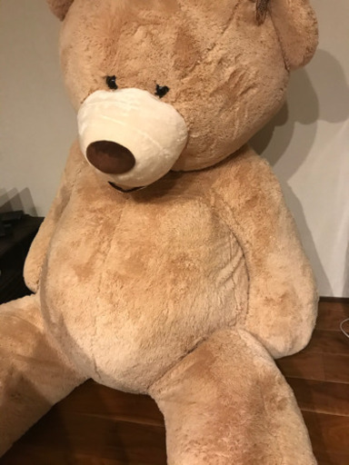 コストコ　新品　特大クマのぬいぐるみ　約237㎝