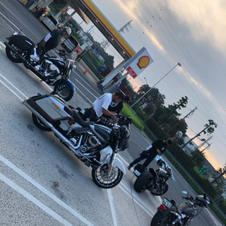 HARLEY-DAVIDSON - 友達