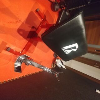 プリチャーカールベンチ