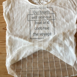 Ⓜ️サイズ　Ｔシャツの画像
