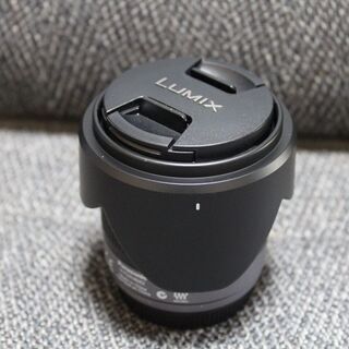 美品 Panasonic パナソニック LUMIX G VARI...