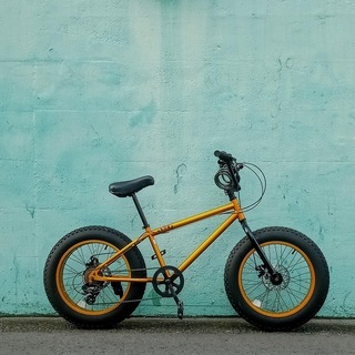 交渉中 BRONX ファットバイク 20インチ