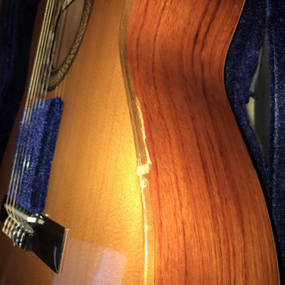 Antorio  Sanchez Estudio-1cの画像