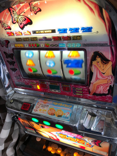 南国育ち実機4号機
