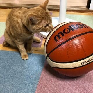 女子メンバー募集