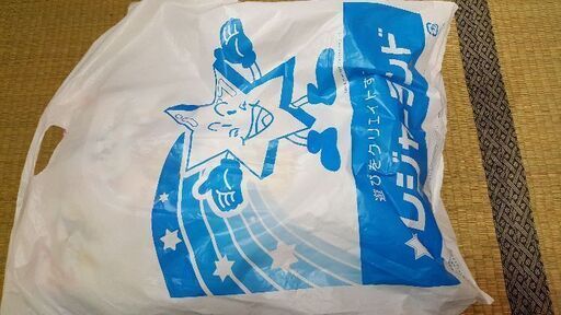 ラブライブメガジャンボクッション　ポケモンシールザルード