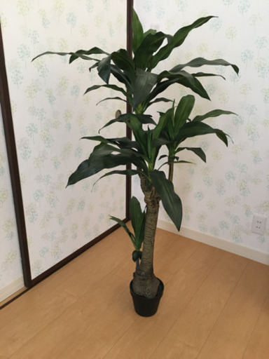 観葉植物(フェイク)