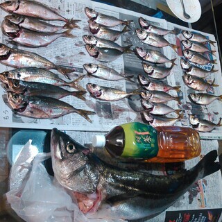 釣り未初級者安全マナー&魚捌き講習会♪  2月下旬土曜日開催の画像