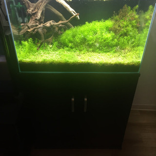 水草水槽セット