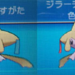 ポケモン 色違い ジラーチ！！(ノーマル色でも可)の画像