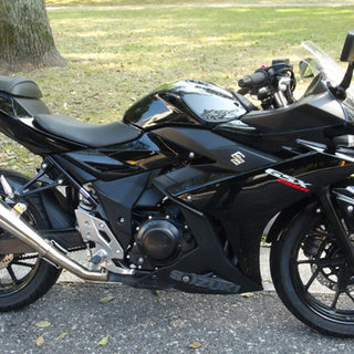 ■完了■動画あり／スズキ／GSX250R／2019年4月新車購入...