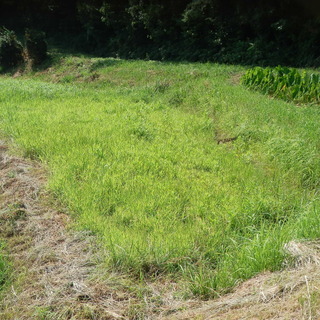 畑　農園　サンデー農園　貸し農園　自分で畑をしませんか？　野菜を自身で～　貸農園　家庭菜園 − 奈良県