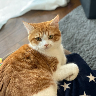 沢山のメッセージありがとうございます。一時締切させて頂きます。