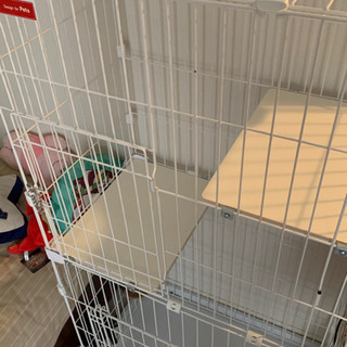 【本日中なら2千円】猫用2段ケージ  水飲み付き 1ヶ月しか使用していませんの画像