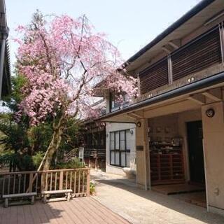 保育士・保育教諭・正規職員・非常勤・認定こども園・京都市・東山区