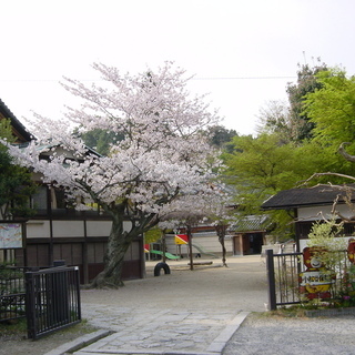 保育士・保育教諭・正規職員・非常勤・認定こども園・京都市・東山区の画像