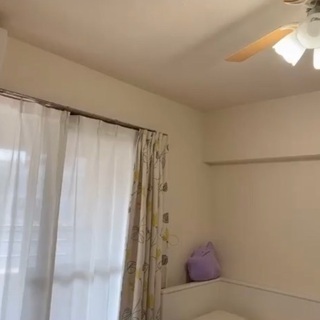 ファン付き アイボリー 照明 電気