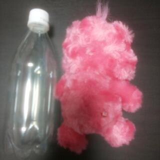 くまさんのぬいぐるみ🐻の画像