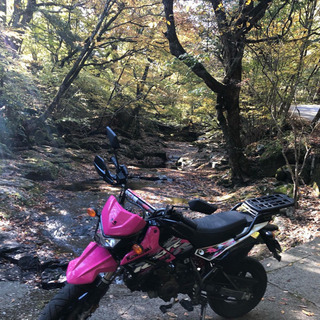 ツーリング友達 募集します！
