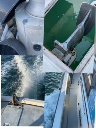 動画あり 人気のydx