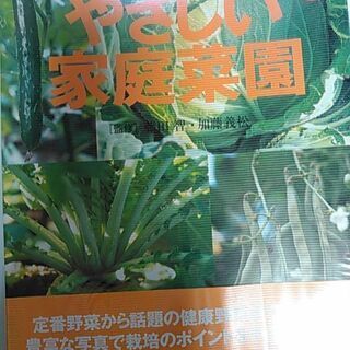 やさしい家庭菜園　