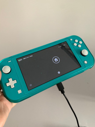 switch rite 【保護ケース、ポーチ付き】　今日取引なら1000円引きます