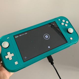 switch rite 【保護ケース、ポーチ付き】 今日取引なら1000円引きます