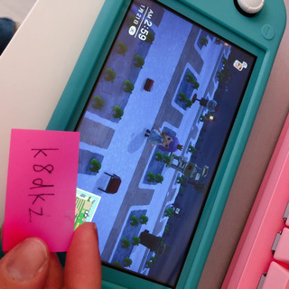 Nintendo Switch Lite本体＋シリコンケース＋ハードケースの画像