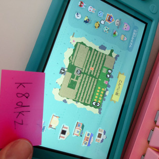 Nintendo Switch Lite本体＋シリコンケース＋ハードケースの画像