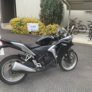 CBR250R MC41 約3年放置