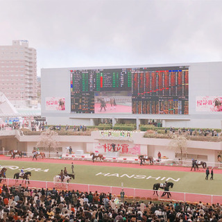 競馬友達募集