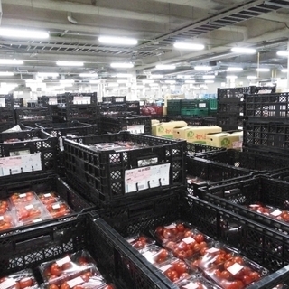 川越急募【時給1,200円！自由度が高い】野菜仕分け・倉庫内軽作業
