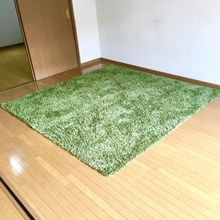 205×205 シャギーラググリーンの画像