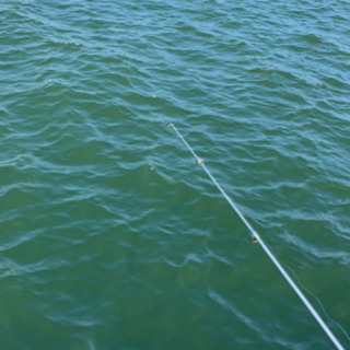 釣りを一緒にしませんか！