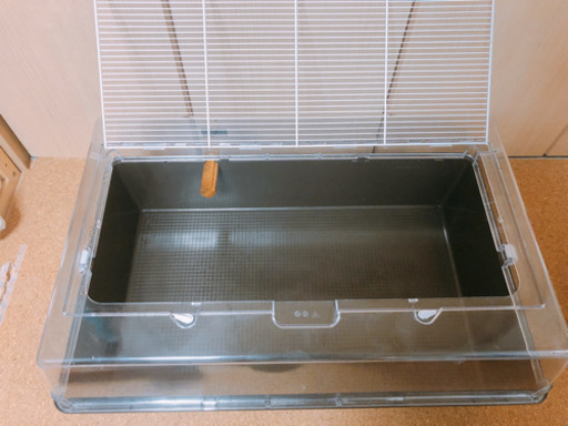 ハムスター  飼育セット　デュナマルティ