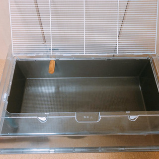 ハムスター  飼育セット　デュナマルティ