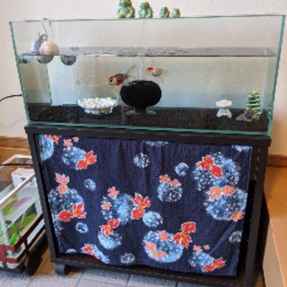 金魚友達 − 愛知県