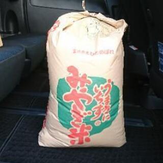 令和元年登米産ひとめぼれ玄米30キロ