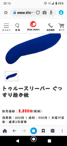 トゥルースリーパー 抱き枕 新品